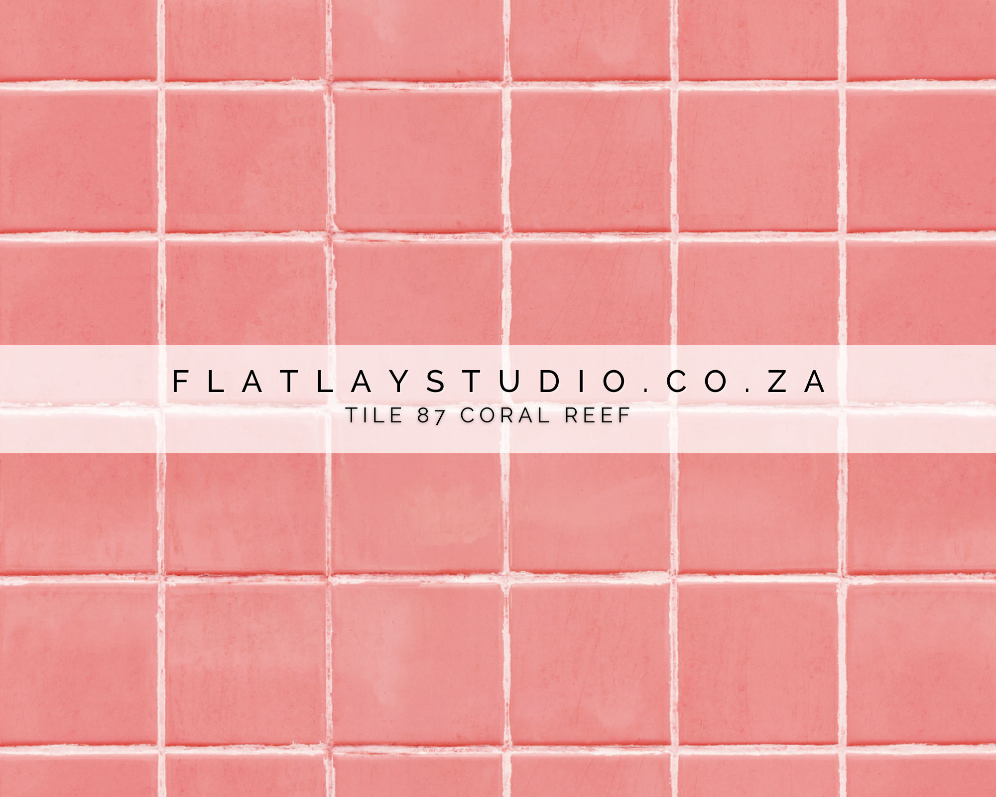 Double-sided_photography_backdrop_-_Tile_87_Coral_Reef__Wood_60_Fuchsia_Plank