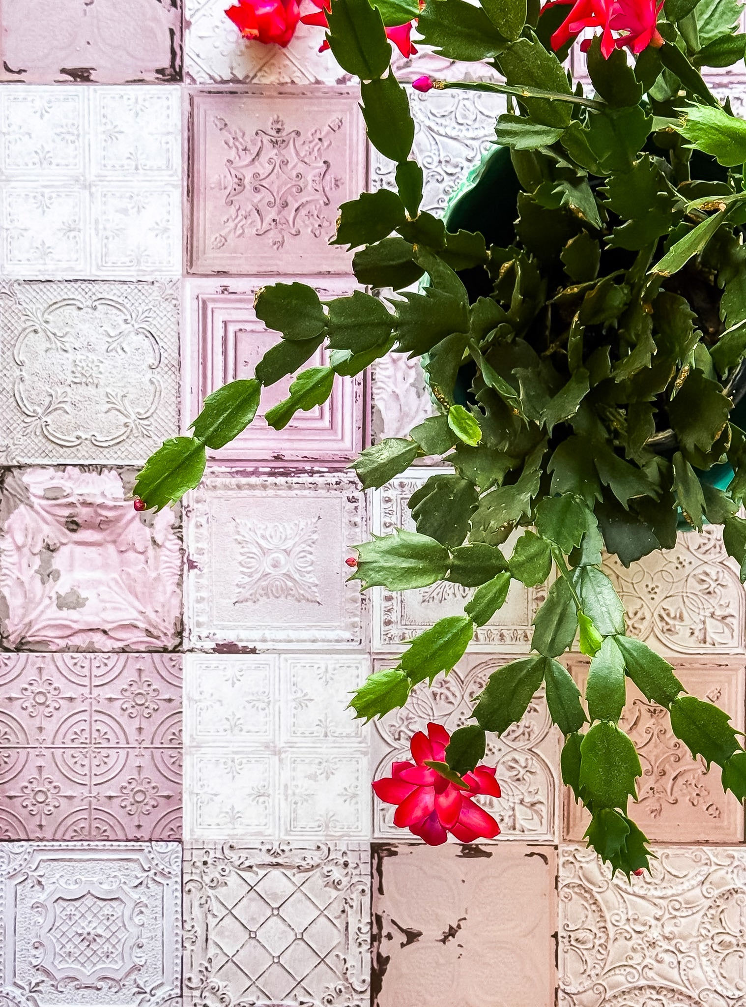 Double-sided photography backdrop - Tile 83 Nostalgic Blush + Tile 84 Tangerine