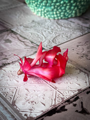 Double-sided photography backdrop - Tile 83 Nostalgic Blush + Tile 84 Tangerine