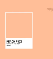 Banner - Plain Jane Peach Fuzz