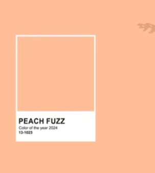 Banner - Plain Jane Peach Fuzz