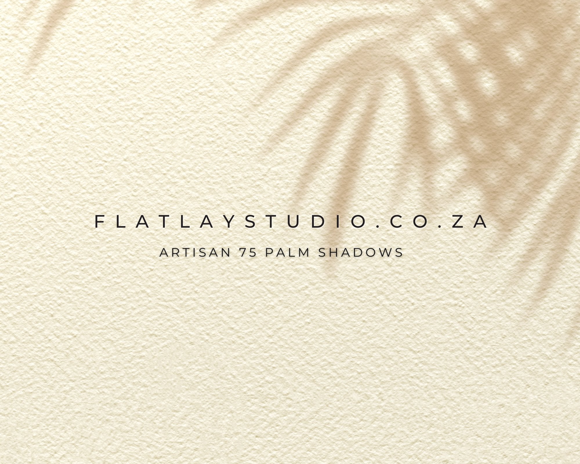Artisan 75 Palm Shadows Flatlay Styling Board Flatlay Studio 