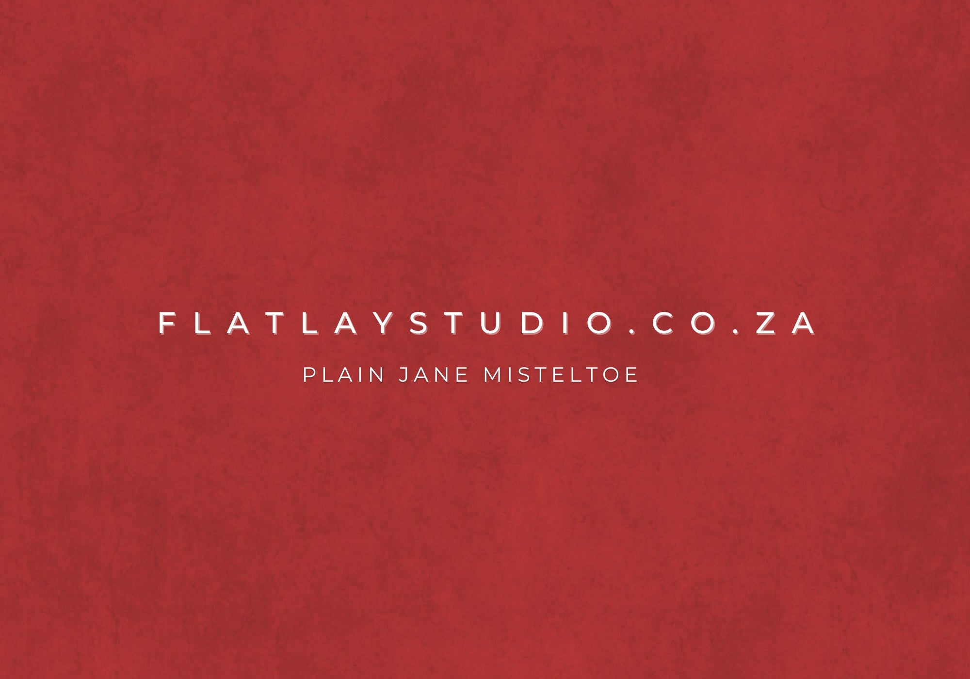 Plain Jane Mistletoe - FlatlayStudio Flatlay Styling Board